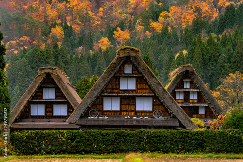 Traditional Japanese farm houses © Joshua