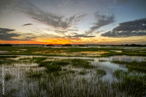 Canvas Print Marsh Sunset
