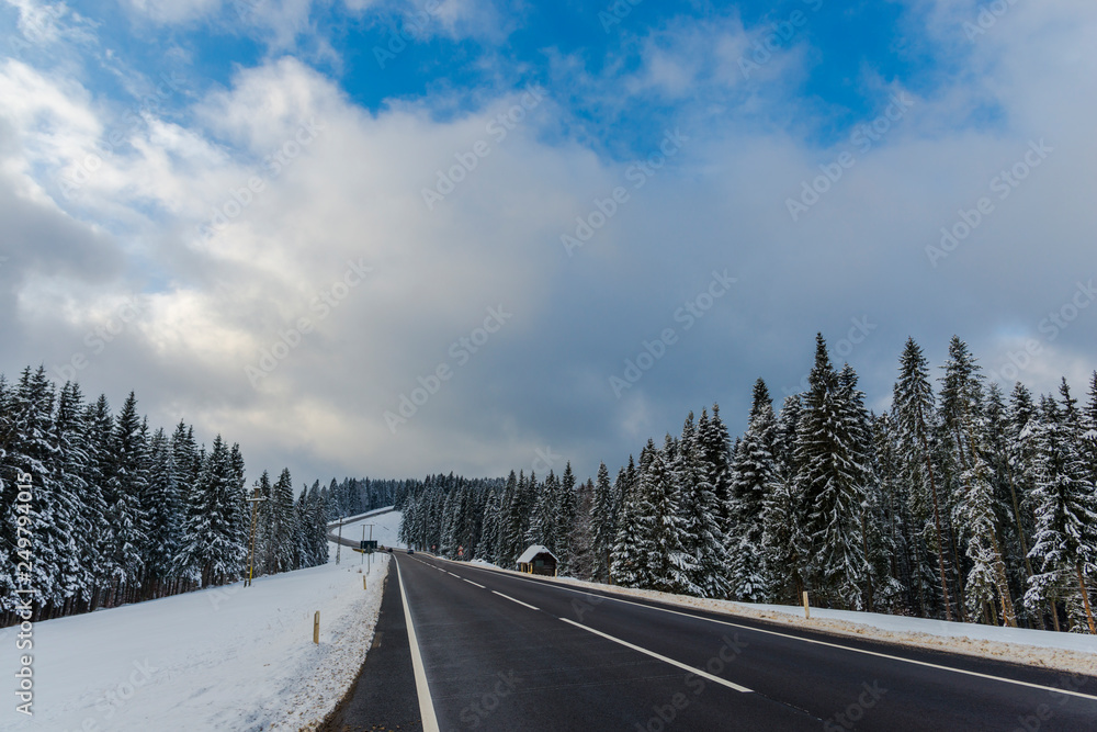 Winter landscape