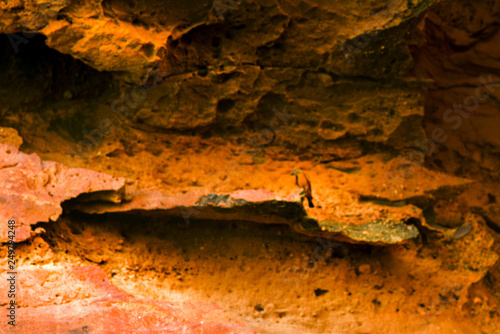 Fototapeta Naklejka Na Ścianę i Meble -  Canion Xingó