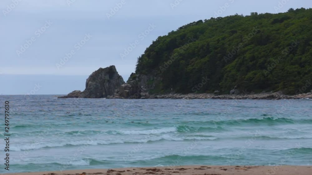 The picturesque island in the middle of the sea near the wild sandy beach. Petrov Island with the legendary yew grove in the Lazovsky zapopovednik in Primorsky Krai The picturesque island in the middle of the sea near the wild sandy beach. Petrov Island with the legendary yew grove in the Lazovsky zapopovednik in Primorsky Krai