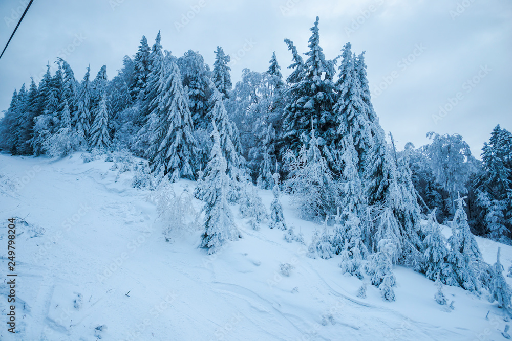 winter landscape in Predeal, Romania