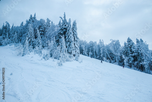 winter landscape in Predeal, Romania © somra