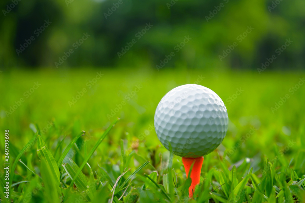 golf ball on tee in beautiful golf course with sunset. Golf ball close up in golf coures at Thailand golf ball on tee in beautiful golf course with sunset. Golf ball close up in golf coures at Thailand