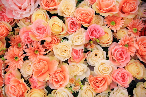 Colorful roses background, valentines's and wedding concept.