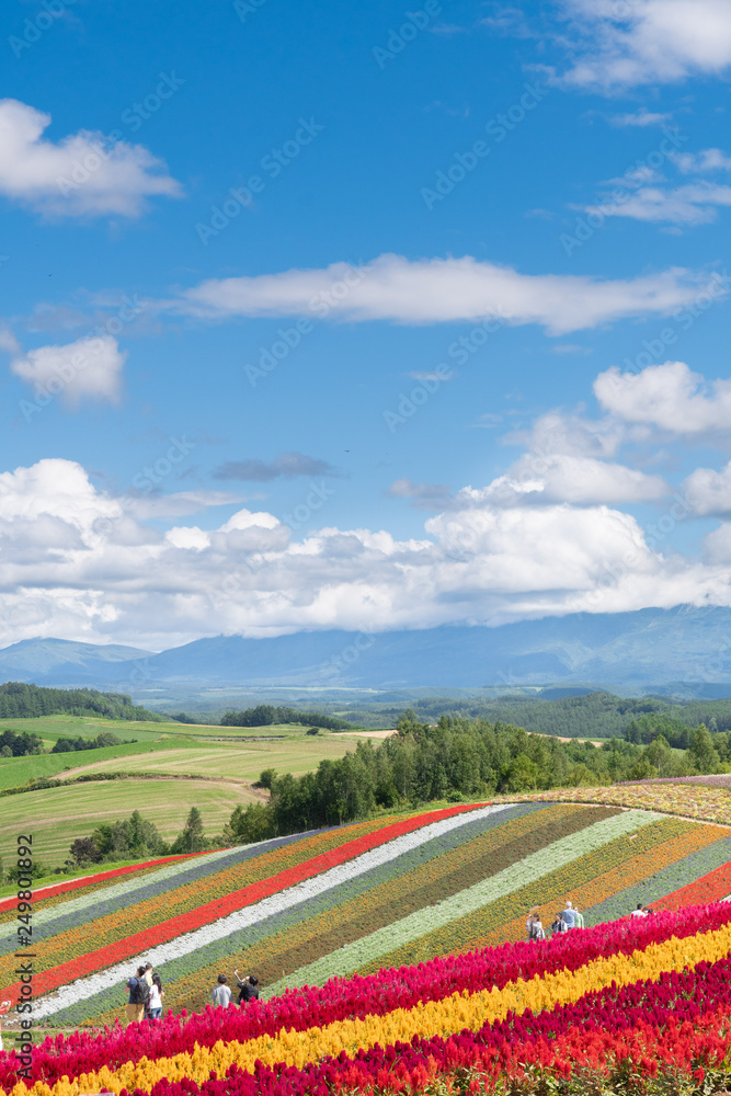 北海道美瑛町の風景 A4写真プリント ガラス入り額装 ～朝焼けの丘～ 北海道美瑛町の風景 A4写真プリント ガラス入り額装 ～朝焼けの丘～
