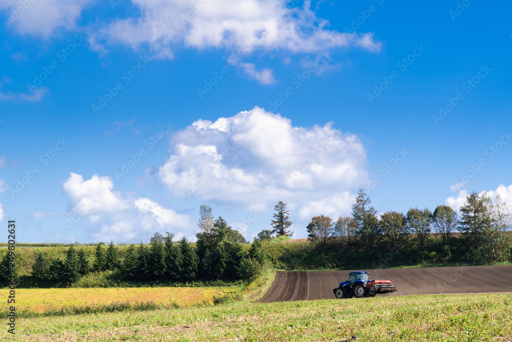 Naklejka premium 北海道の農場 / ニセコ周辺