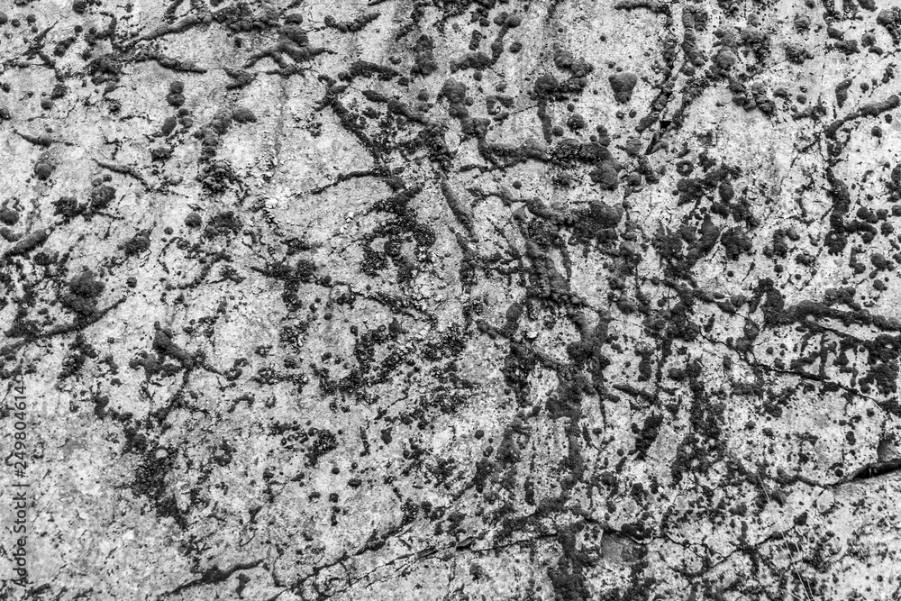 scaur black and white rock texture background. scaur black and white rock texture background.
