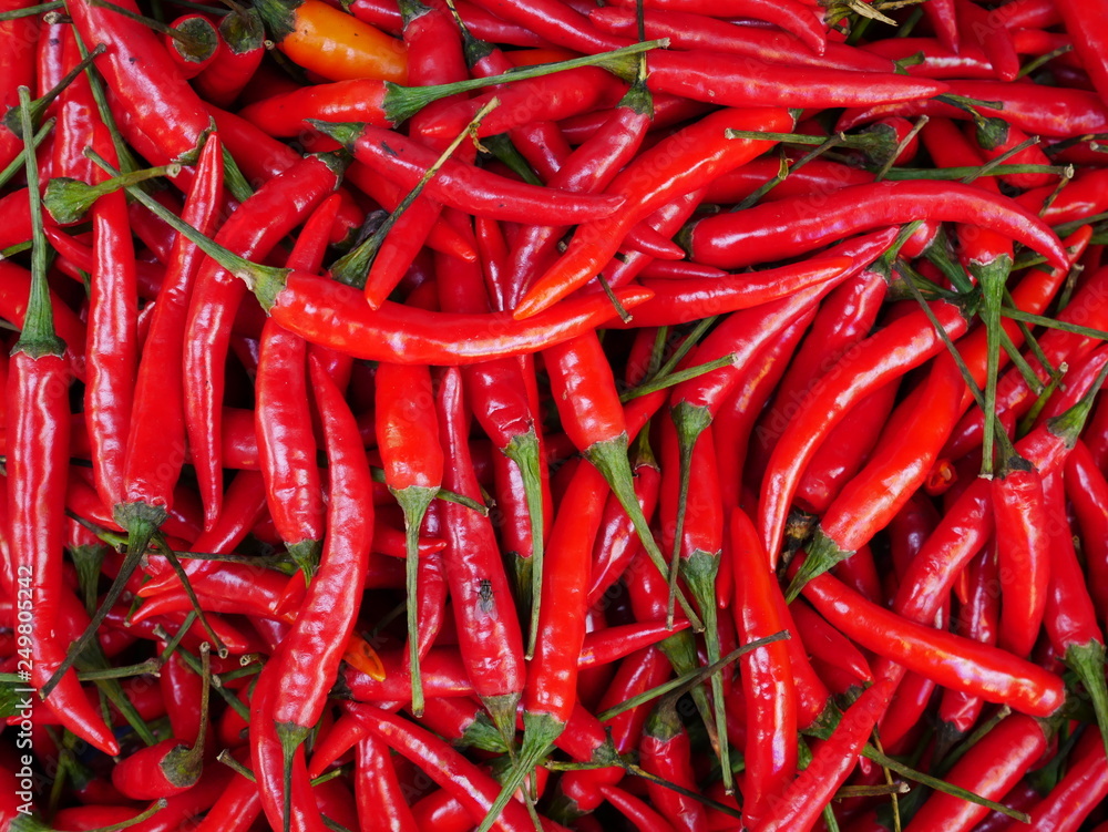 red and green peppers background