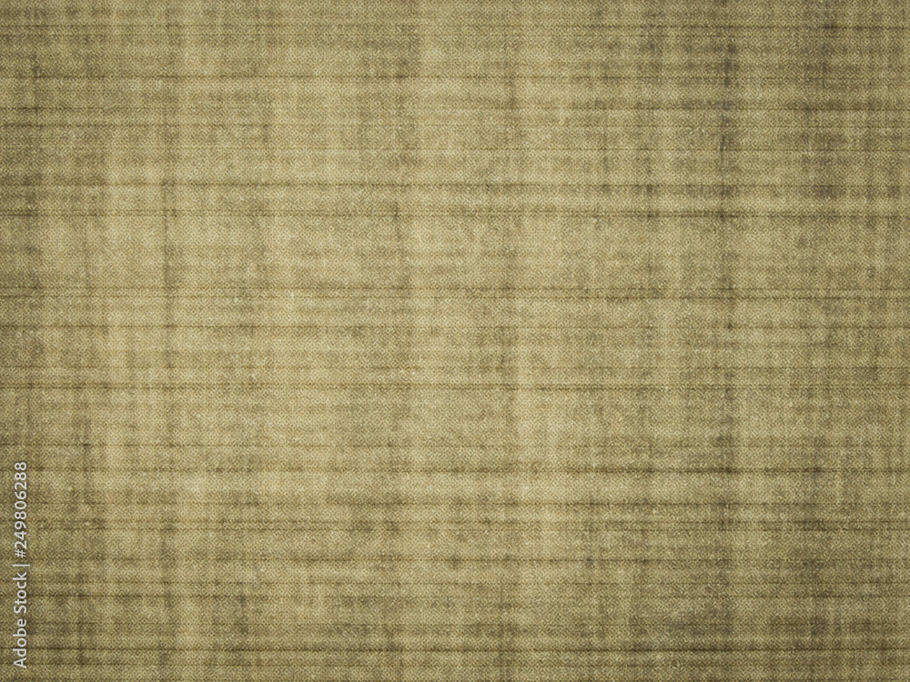 Fototapeta premium Wood texture and background