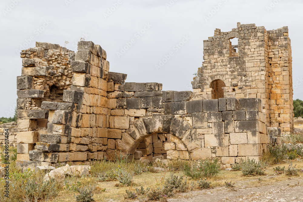 Ruins of the Roman and Byzantine town Thignica (modern Ain Tounga), Tunisia