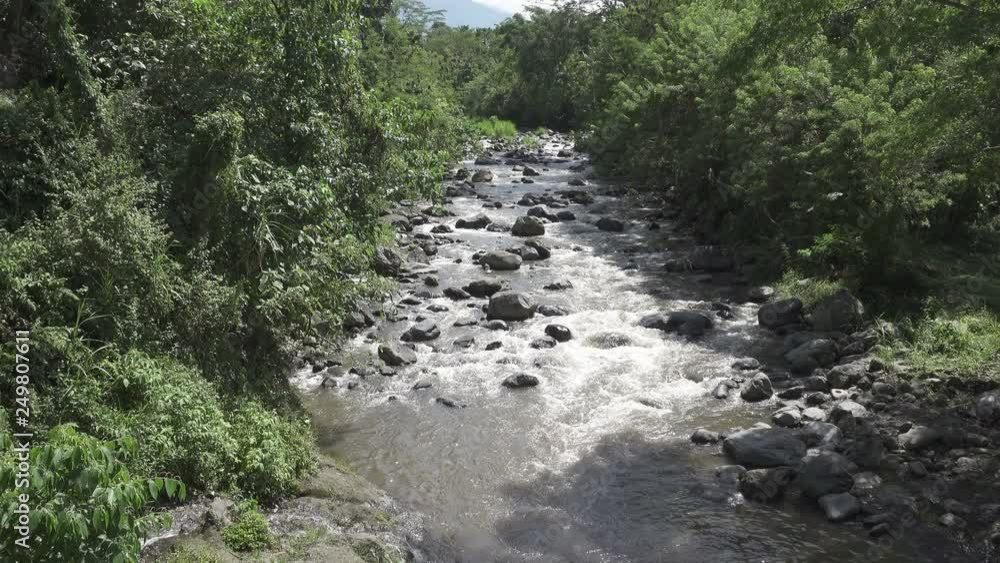 The deep mountain river after a tropical rain, Amazing riverscape with dense exotic forest growing on rocky riverbank and rapid water stream. Bali, Indonesia The deep mountain river after a tropical rain, Amazing riverscape with dense exotic forest growing on rocky riverbank and rapid water stream. Bali, Indonesia