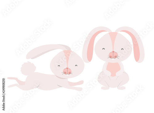 cute rabbits isolated icon