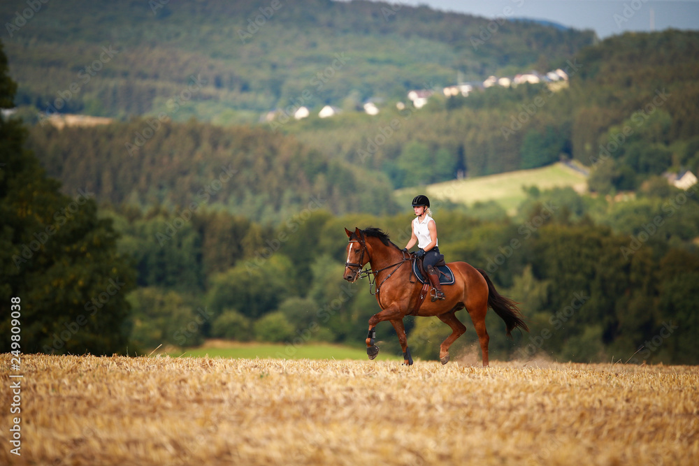 Horsewoman with horse galloping on a stubble field in summer photographed from the front from some distance.. Horsewoman with horse galloping on a stubble field in summer photographed from the front from some distance..