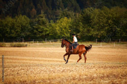 Horsewoman with horse galloping on a stubble field in summer photographed from the front from some distance..