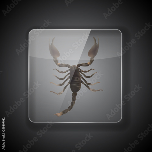 Glass Frame on dark Background with scorpion. Vector Illustration photo