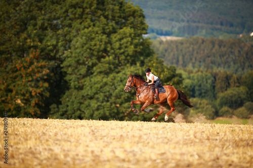 Horsewoman with horse galloping on a stubble field in summer photographed from the front from some distance..