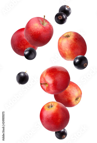 Falling red apples and blackcurrant isolated on white.