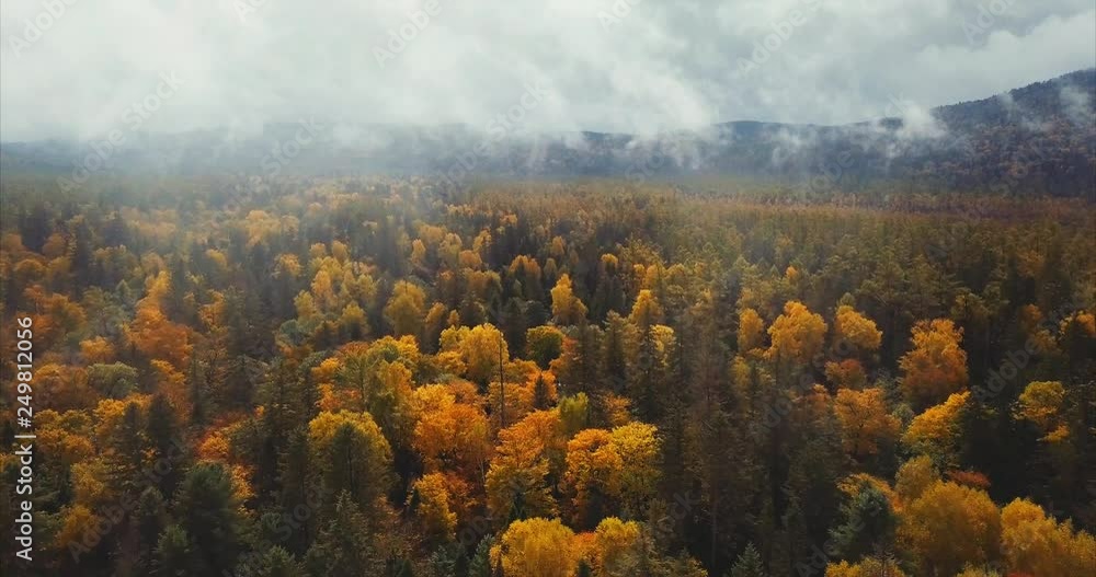 Flying above the great autumn forests of Sikhote-Alin Nature Reserve, a biosphere reserve in Russia. It is an important reserve for the endangered Siberian tiger was founded in 1935. Aerial Flying above the great autumn forests of Sikhote-Alin Nature Reserve, a biosphere reserve in Russia. It is an important reserve for the endangered Siberian tiger was founded in 1935. Aerial