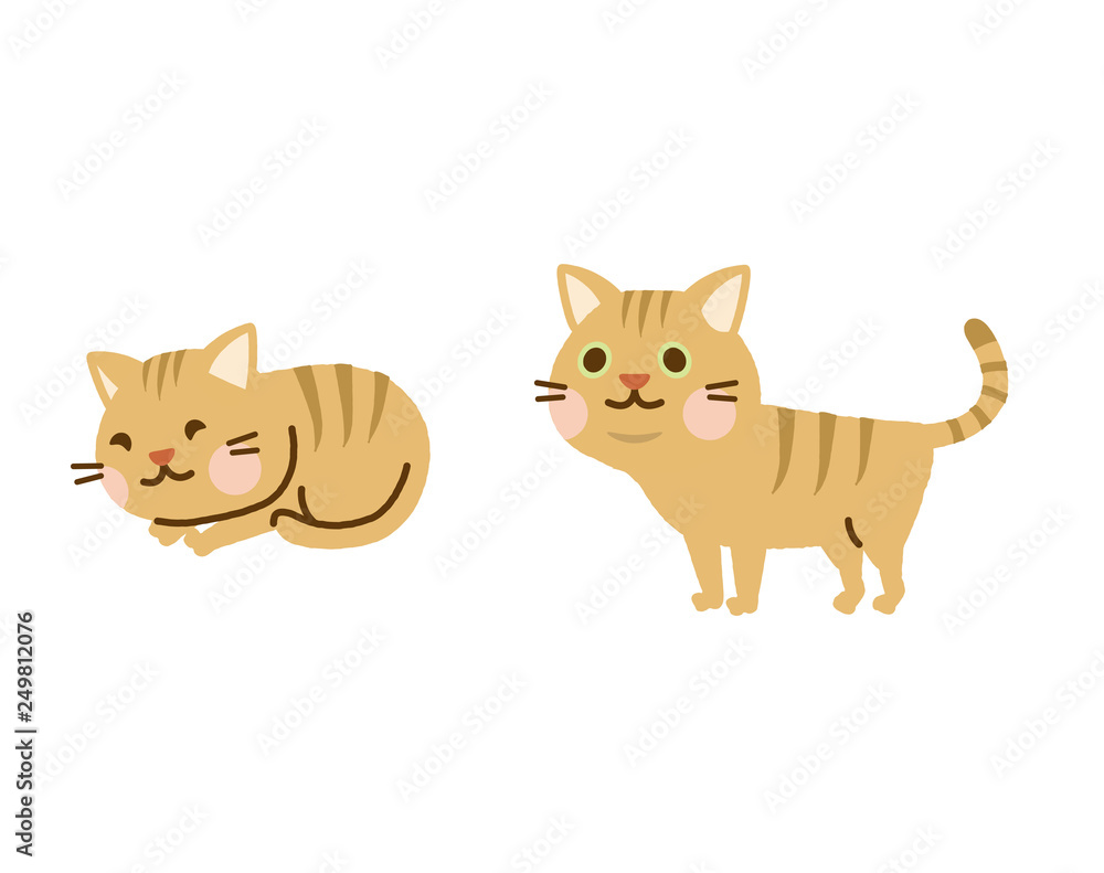 猫 セット 猫 セット