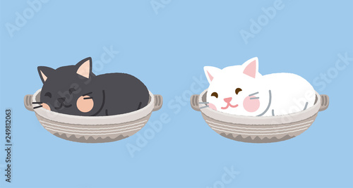 猫　セット
