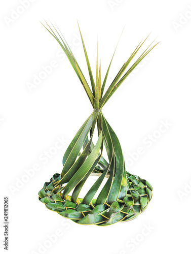 Εκτύπωση καμβά Funny hats made from fresh green palm leaf woven hats natural abstract patterns