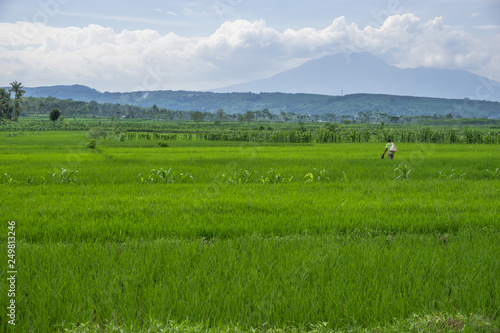 Landscape with green field and blue sky