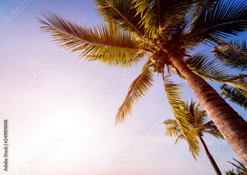 Beautiful tropical beach with palm trees.