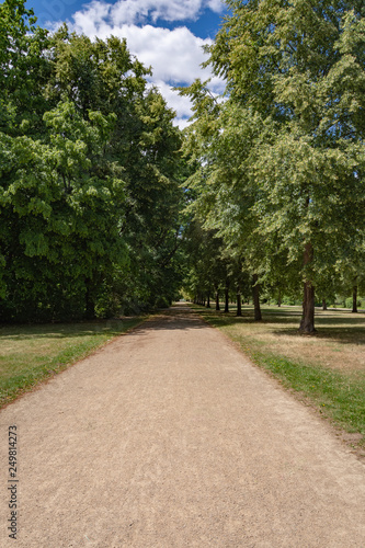 Fototapeta Naklejka Na Ścianę i Meble -  path through the city park