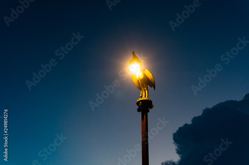 electric pole bird shape shining in dark night