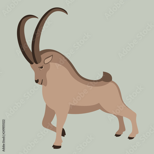mountain goat, vector illustration , profile view, flat