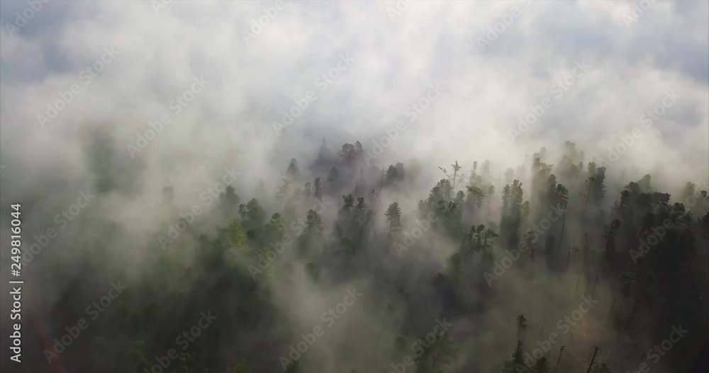 Breathtaking aerial view of endless forest seen through the white fog in the early morning. Sikhote-Alin Nature Reserve, a biosphere reserve in Russia for endangered Siberian tiger founded in 1935 Breathtaking aerial view of endless forest seen through the white fog in the early morning. Sikhote-Alin Nature Reserve, a biosphere reserve in Russia for endangered Siberian tiger founded in 1935