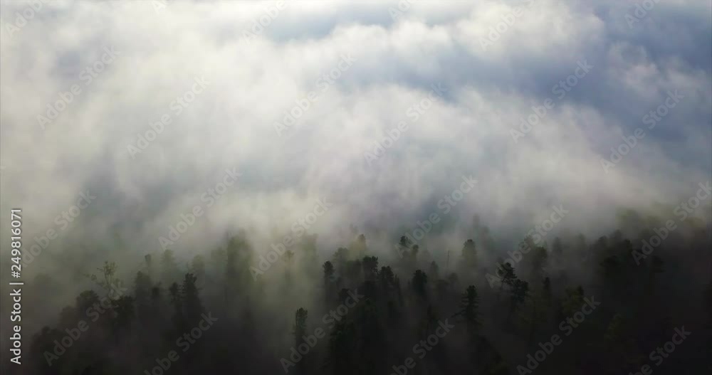 Zooming in aerial view of endless forest seen through the white fog in the early morning. Sikhote-Alin Nature Reserve, a biosphere reserve in Russia for endangered Siberian tiger founded in 1935 Zooming in aerial view of endless forest seen through the white fog in the early morning. Sikhote-Alin Nature Reserve, a biosphere reserve in Russia for endangered Siberian tiger founded in 1935