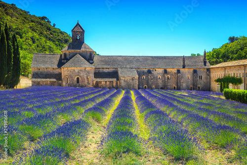 Abbey of Senanque and spectacular lavender field, Gordes, Provence, France