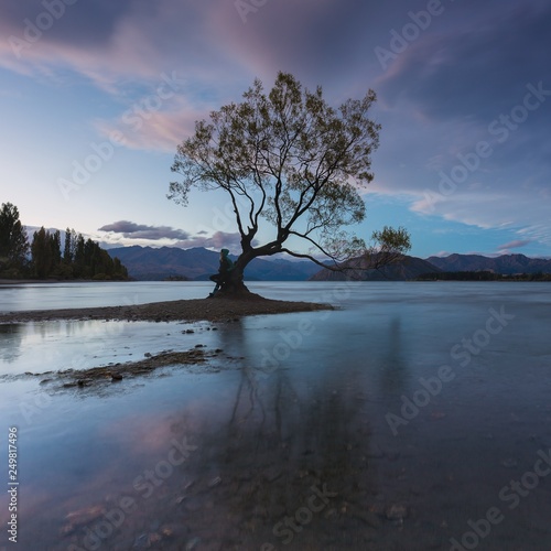 Colorful tree inside the Lake Wanaka, New Zealand South Island, New Zealand and popular travel destination. Beautiful cloudy and windy day in autumn.