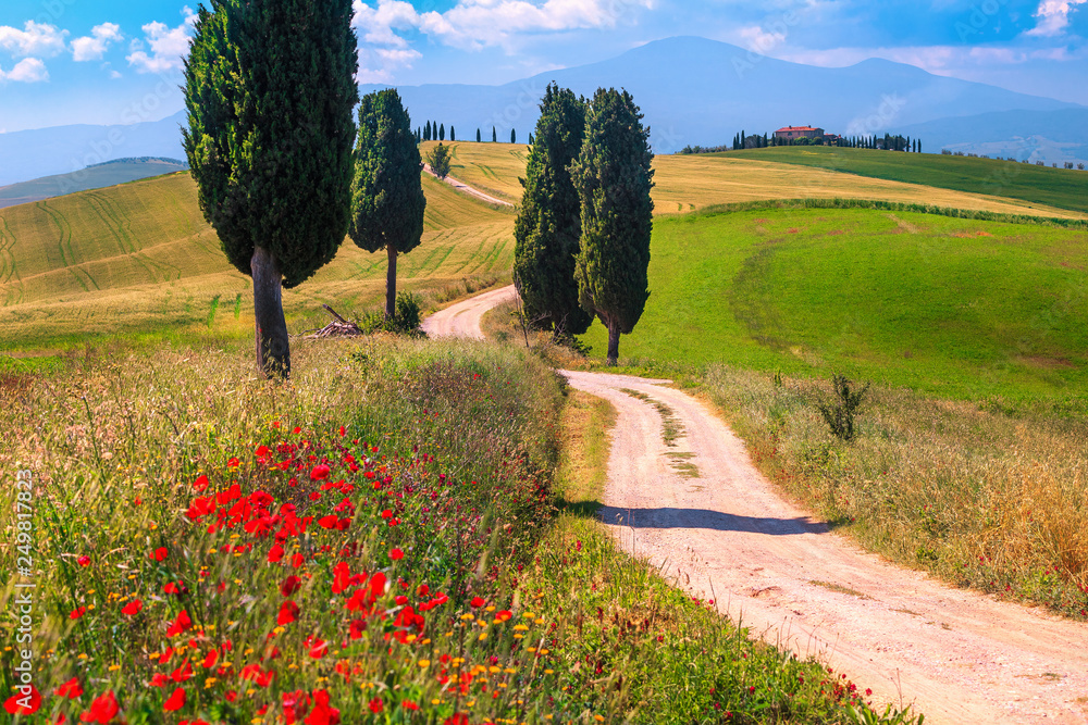 Summer Tuscany landscape with grain fields and rural road, Italy - obrazy, fototapety, plakaty 
