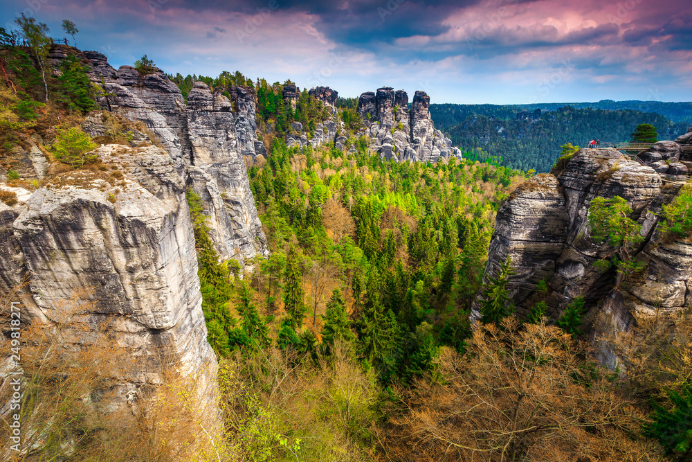 Wonderful rock formations in the spring forest, Bastei, Germany