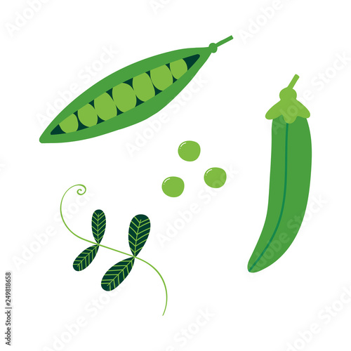 Set, collection of cartoon vector green peas isolated on white background.