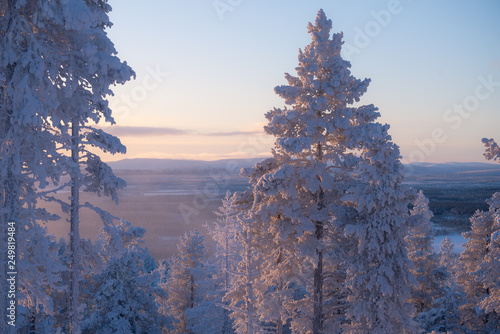 Landscape scene of Finnish lapland seen from Levi Ski Resort at winter evening in Kittilä, Finland photo