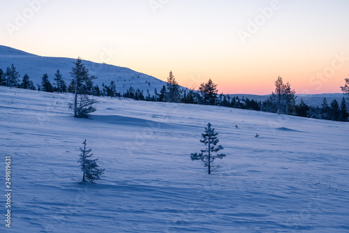 Landscape view in Palas-Yllästunturi National Park at winter in Finland