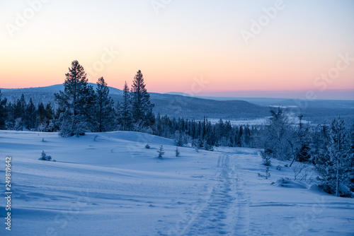 Landscape view in Palas-Yllästunturi National Park at winter in Finland