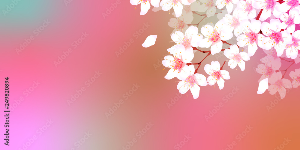 桜 春 花 背景 桜 春 花 背景
