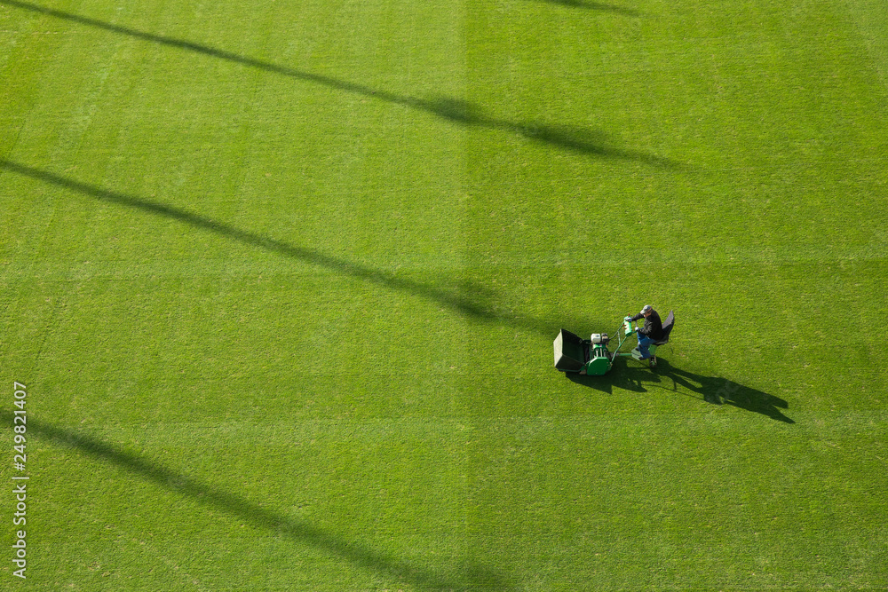 Fototapeta Mowing grass at the football stadium
