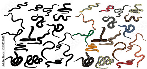 vector, isolated, set of snake crawling, collection of silhouettes