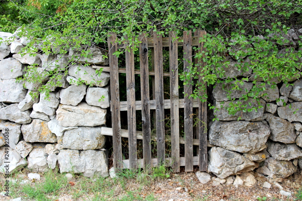 Improvised backyard door made from wooden pallet mounted between traditional stone wall completely overgrown with dense branches and garden vegetation on warm sunny day Improvised backyard door made from wooden pallet mounted between traditional stone wall completely overgrown with dense branches and garden vegetation on warm sunny day