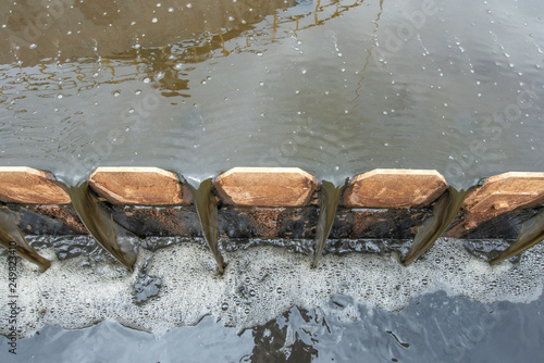 Clarifier cisterns system and effluent for wastewater treatment plant 