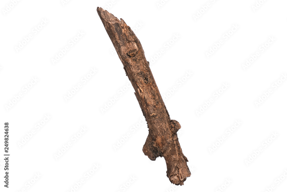 Single dry tree branch, isolated on white background. Stick tree branch from nature for design. Single dry tree branch, isolated on white background. Stick tree branch from nature for design.