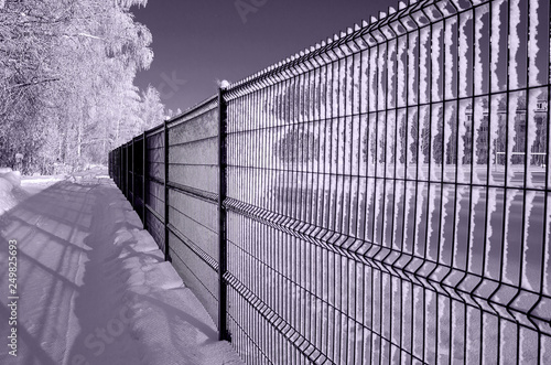 The metal fence in the winter Park is depicted in a sharp perspective, occupies half of the image field, close-up, monochrome, instagram.