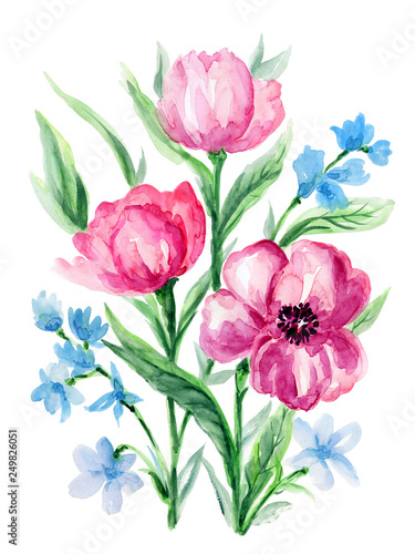 Watercolor pink Anemone and blue flower hand drawn floral illustration