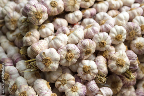 many garlic heads